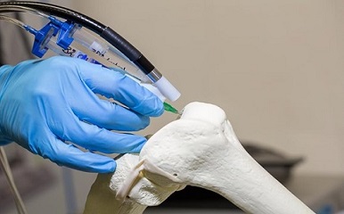 Let Us Render Bones the Second Life