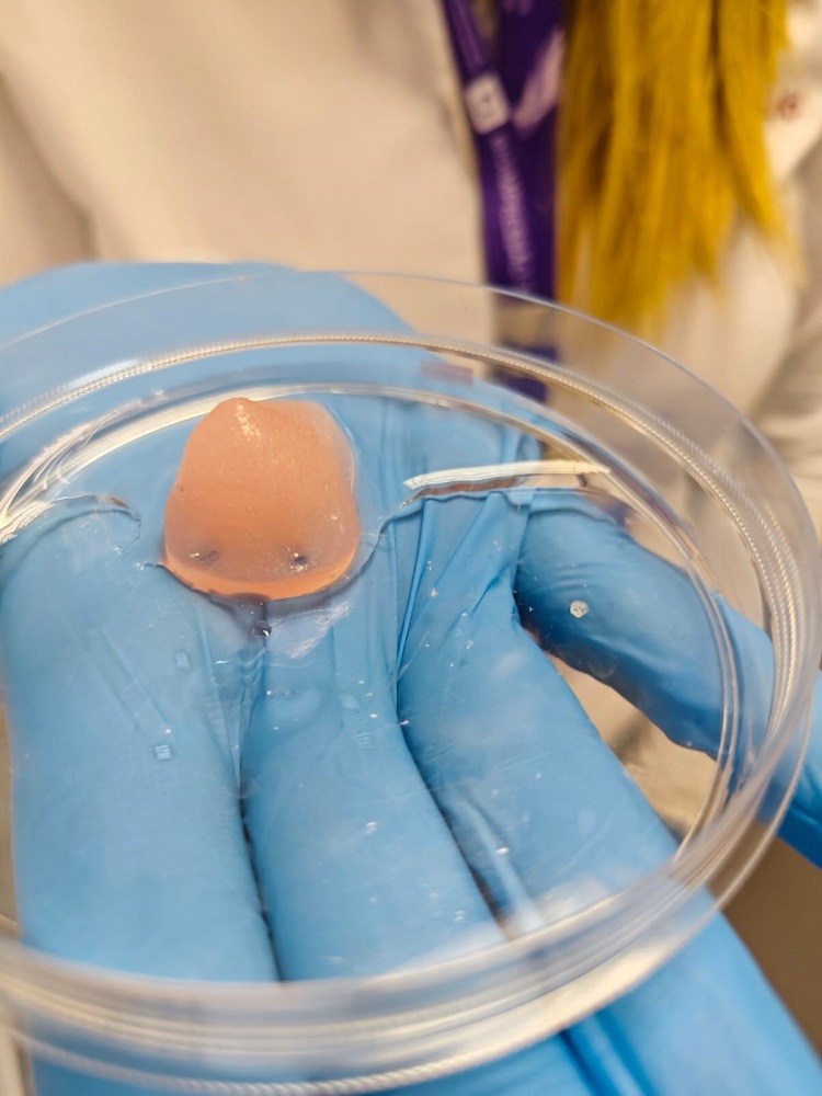 3D Printing Applications