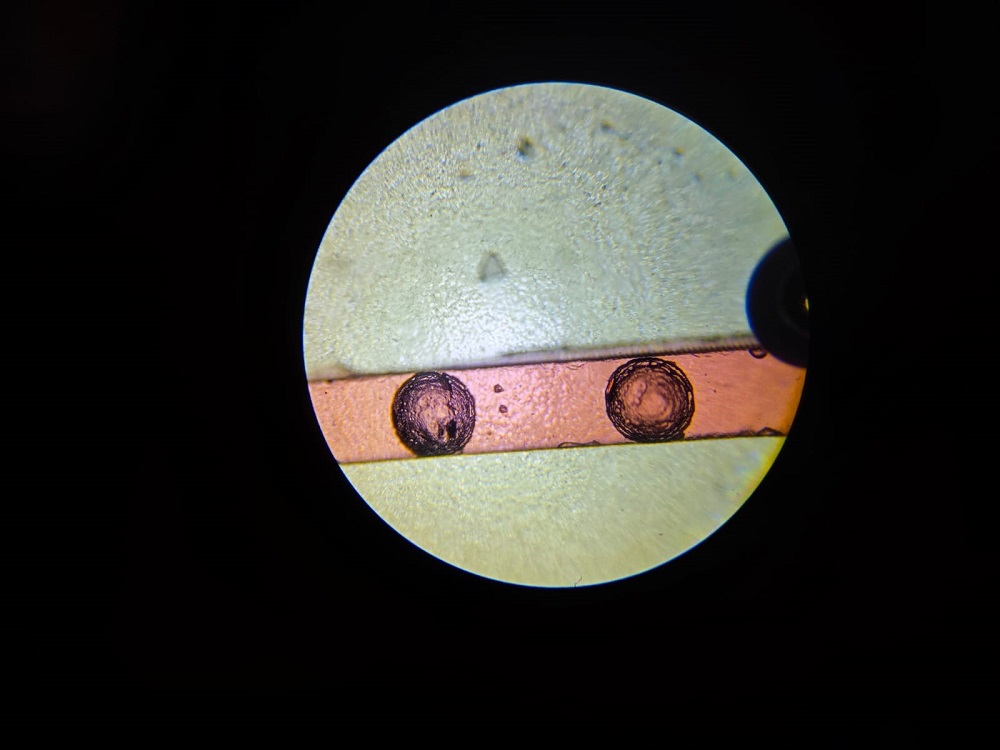 Cell Selection and Seeding