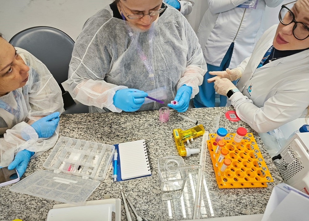 BioEnder: A Brazilian Innovation Bringing Bioprinting to the Masses