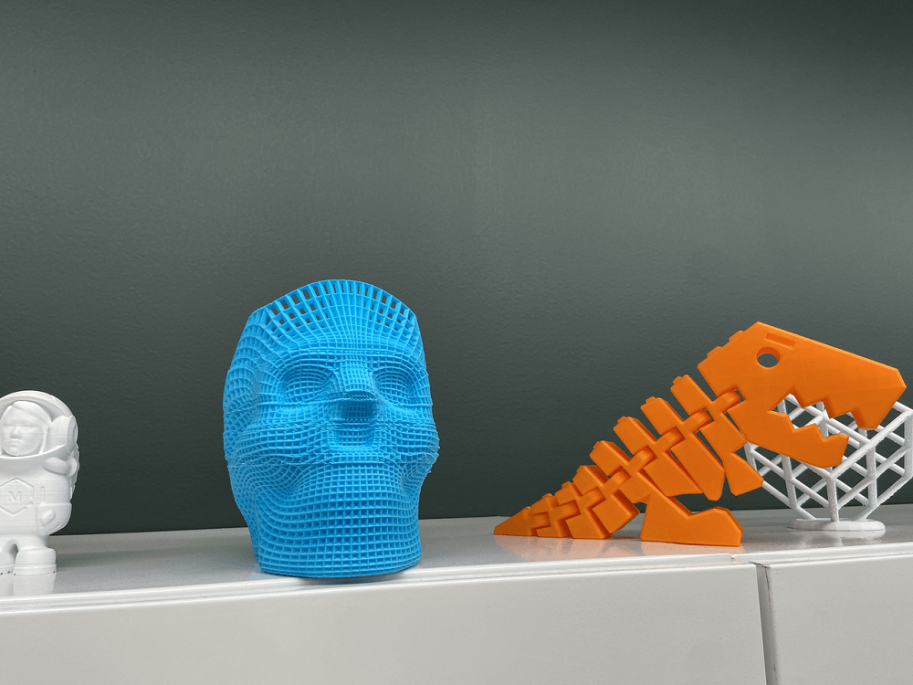 3D-printed models
