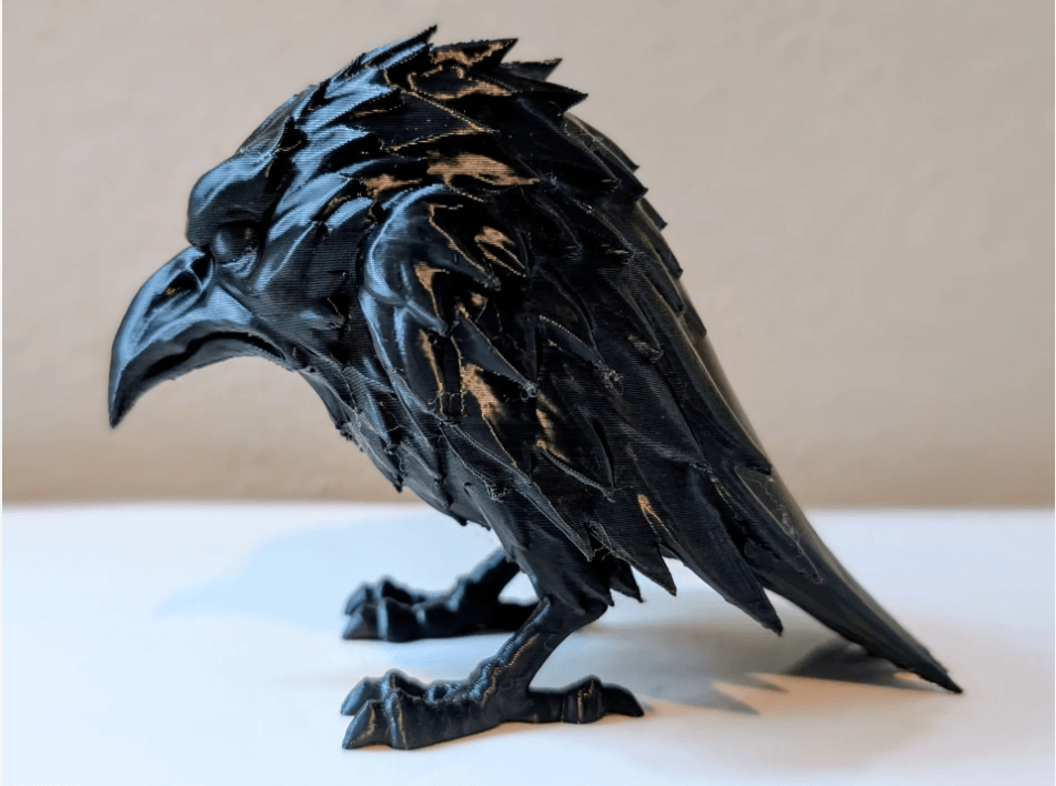 The Shadow Raven