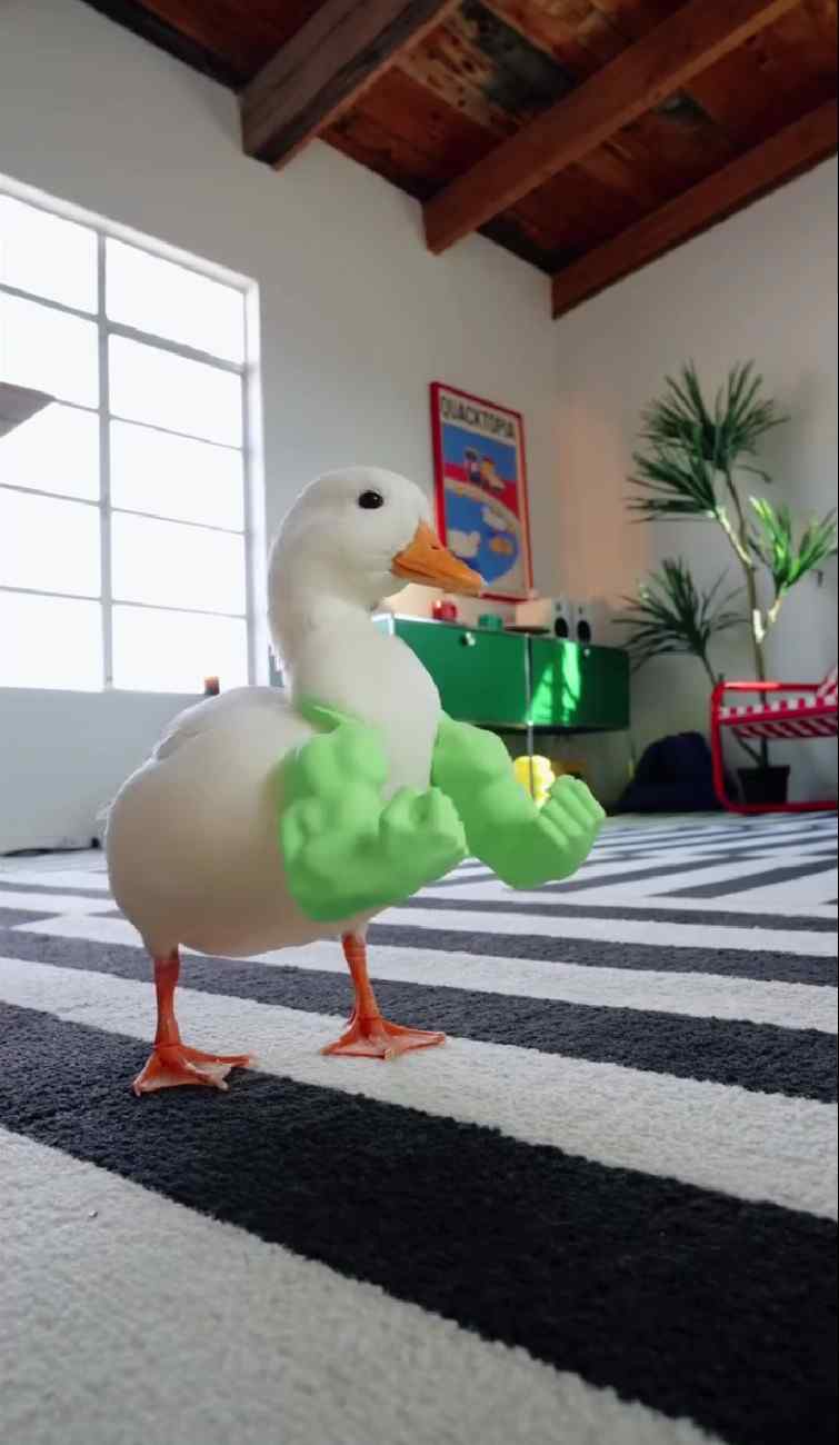 3d printed duck