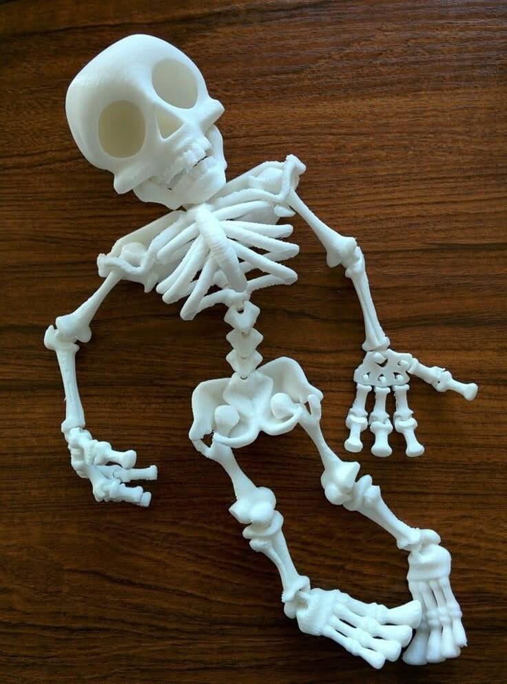 3D Printed Articulated Skeleton