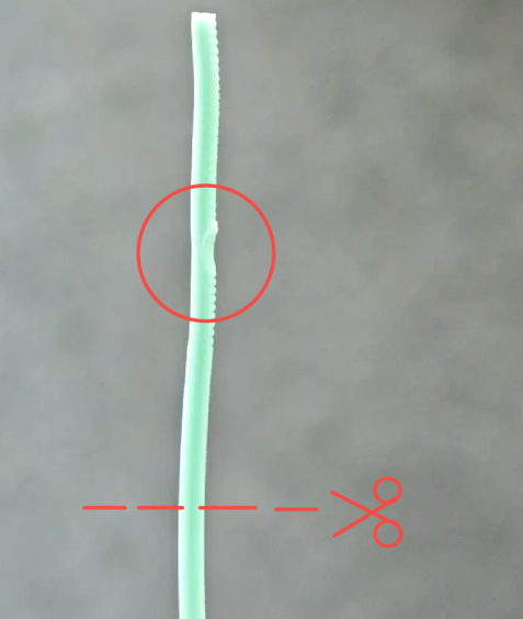 remove any damaged or abnormal sections