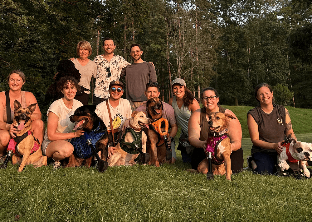 How 3DPets is Helping Pets Regain Mobility