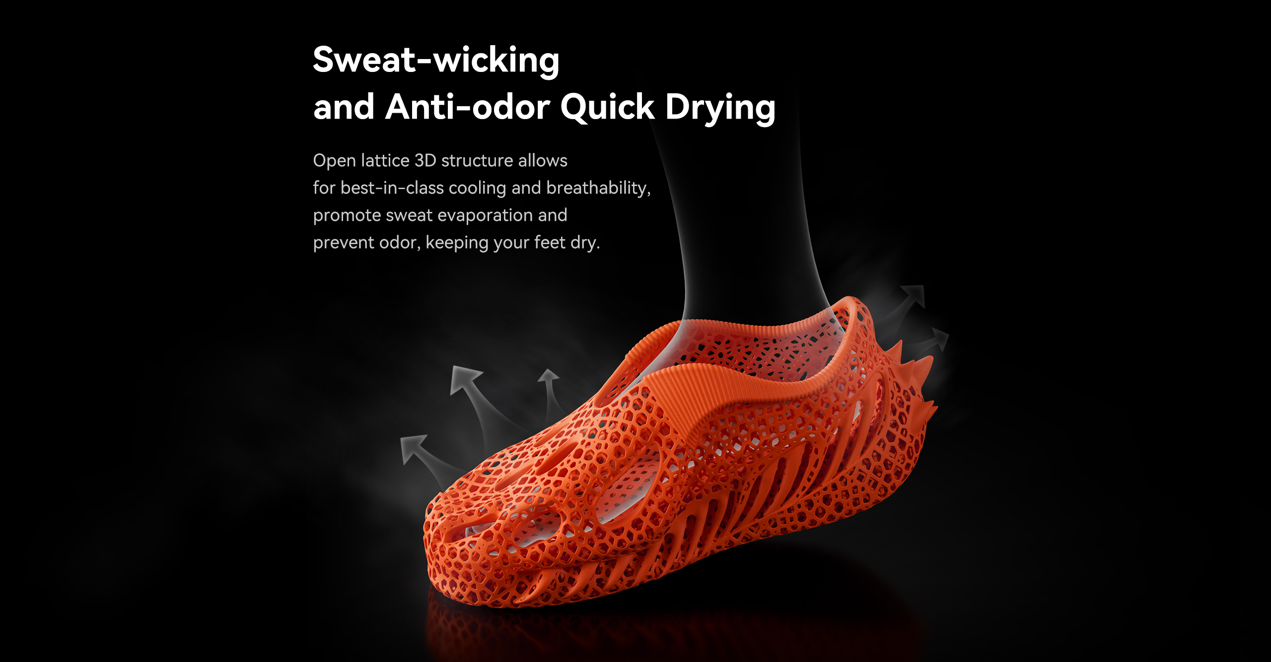 3D Printed Shoes Creality Official