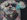 CR-Laser-Falcon-10W_s3_pic5_blur.jpg
