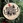 CR-Laser-Falcon-10W_Wood_blur.jpg