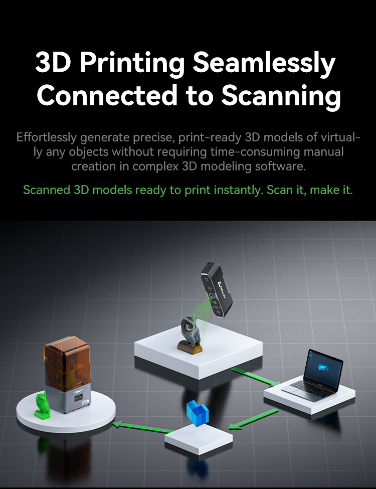 Scanned 3D models